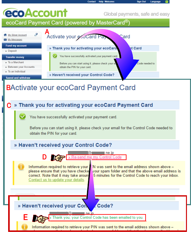 ecoCard発行情報確定の送信アドレスの確認ページイメージ画像