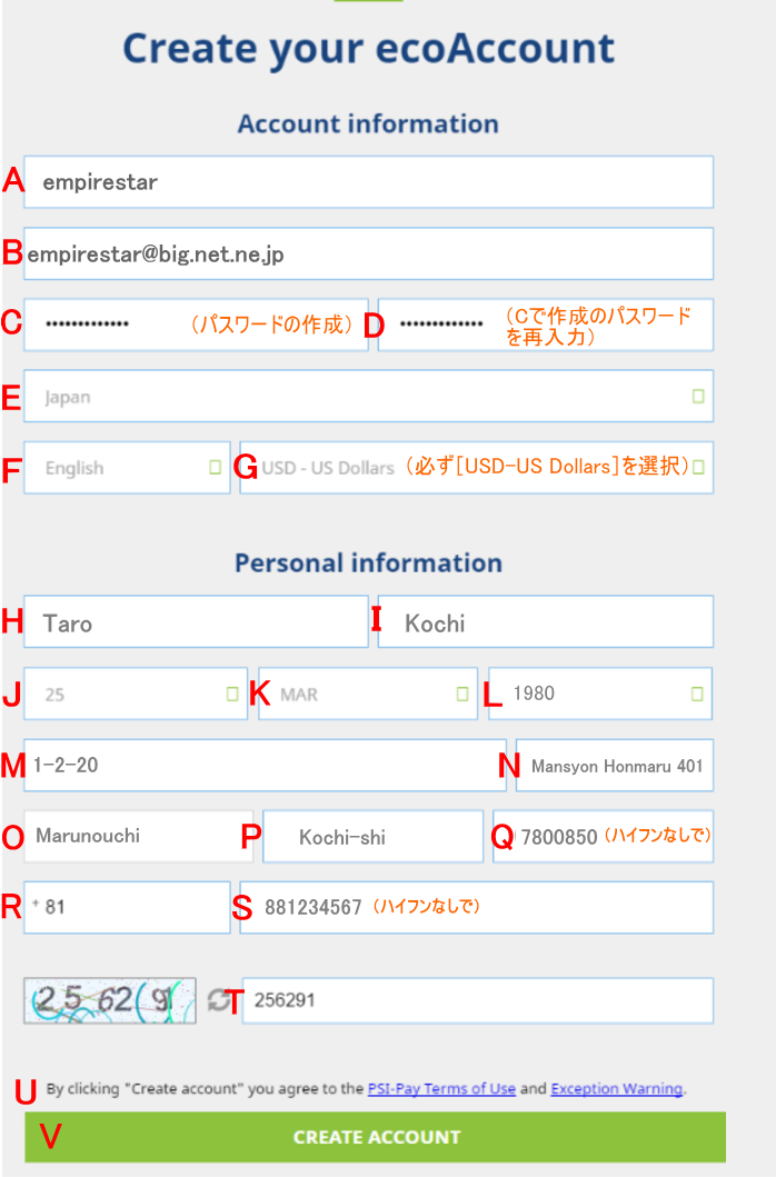 ecoPayz（エコペイズ）口座開設登録情報入力ページ画像